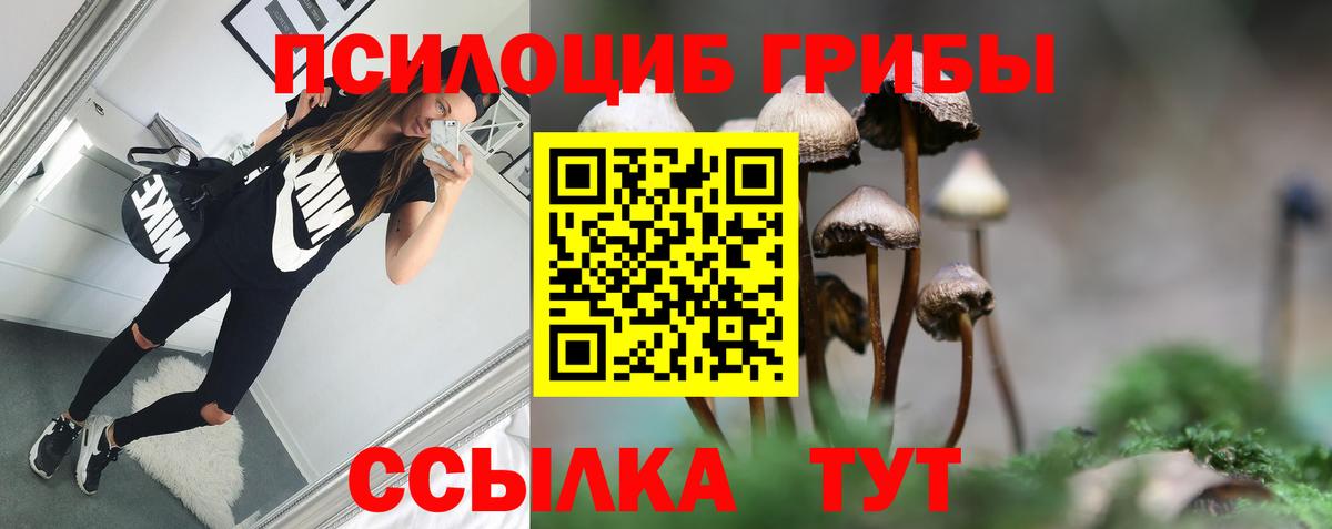 Галлюциногенные грибы MAGIC MUSHROOMS Великий Устюг
