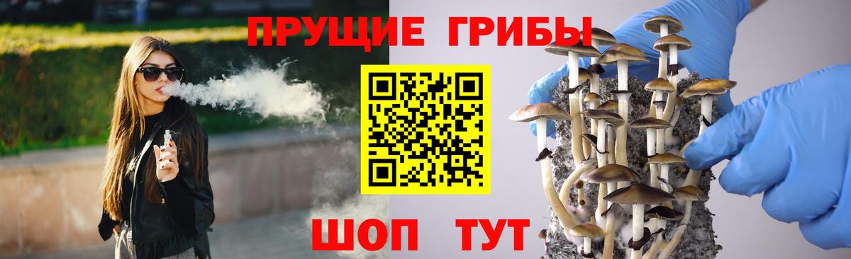 Псилоцибиновые грибы GOLDEN TEACHER  Вход с VPN  Великий Устюг  Галлюциногенные грибы прущие грибы 